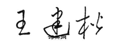 駱恆光王建楷草書個性簽名怎么寫