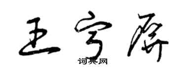 曾慶福王寧屏草書個性簽名怎么寫