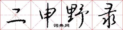 二申野錄怎么寫好看
