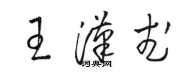 駱恆光王漢武草書個性簽名怎么寫