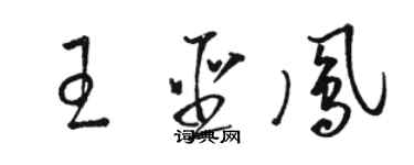 駱恆光王聖鳳草書個性簽名怎么寫