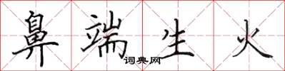 田英章鼻端生火楷書怎么寫