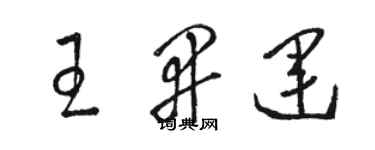 駱恆光王開運草書個性簽名怎么寫