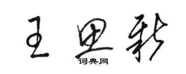 駱恆光王思新草書個性簽名怎么寫