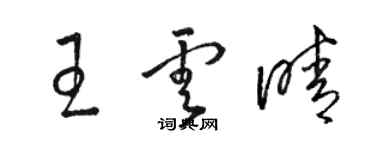 駱恆光王雲晴草書個性簽名怎么寫