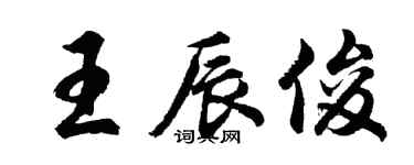 胡問遂王辰俊行書個性簽名怎么寫