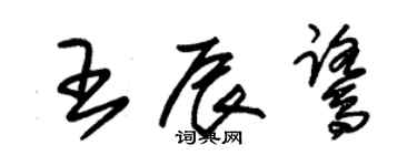 朱錫榮王辰鷺草書個性簽名怎么寫