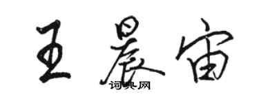 駱恆光王晨宙行書個性簽名怎么寫