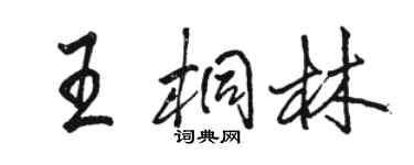 駱恆光王桐林行書個性簽名怎么寫