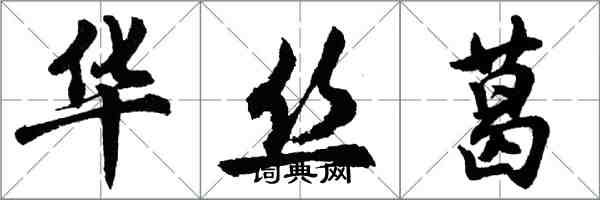 胡問遂華絲葛行書怎么寫