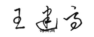 駱恆光王建高草書個性簽名怎么寫