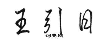 駱恆光王引日行書個性簽名怎么寫