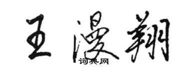 駱恆光王漫翔行書個性簽名怎么寫