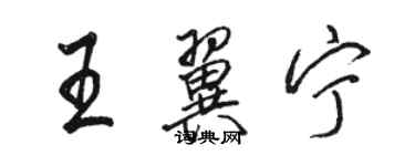 駱恆光王翼寧行書個性簽名怎么寫