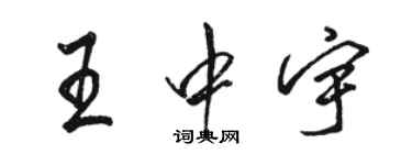 駱恆光王中宇行書個性簽名怎么寫