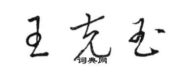 駱恆光王克玉草書個性簽名怎么寫