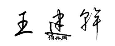 梁錦英王建乾草書個性簽名怎么寫