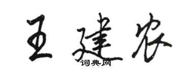 駱恆光王建農行書個性簽名怎么寫