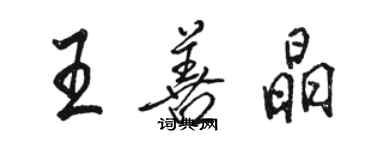 駱恆光王善晶行書個性簽名怎么寫