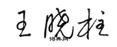 駱恆光王曉柱草書個性簽名怎么寫