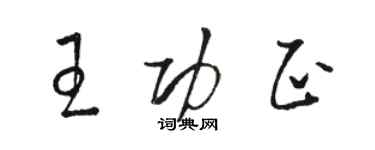 駱恆光王功正草書個性簽名怎么寫