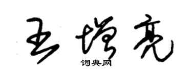 朱錫榮王增亮草書個性簽名怎么寫