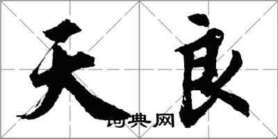 胡問遂天良行書怎么寫