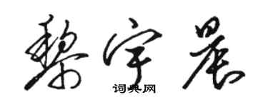 駱恆光黎宇晨草書個性簽名怎么寫