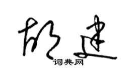 梁錦英胡建草書個性簽名怎么寫