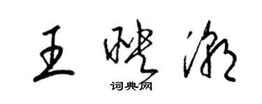 梁錦英王映潮草書個性簽名怎么寫