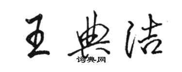 駱恆光王典潔行書個性簽名怎么寫