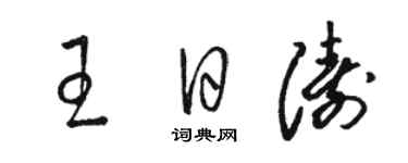 駱恆光王日濤草書個性簽名怎么寫