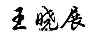 胡問遂王曉展行書個性簽名怎么寫