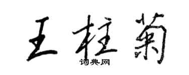 王正良王柱菊行書個性簽名怎么寫