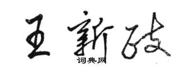 駱恆光王新政行書個性簽名怎么寫