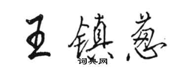 駱恆光王鎮蔥行書個性簽名怎么寫