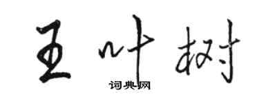 駱恆光王葉樹行書個性簽名怎么寫