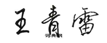 駱恆光王青雷行書個性簽名怎么寫