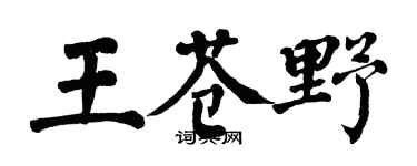 翁闓運王蒼野楷書個性簽名怎么寫