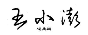 朱錫榮王小澎草書個性簽名怎么寫