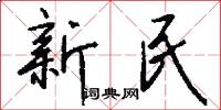 新民怎么寫好看
