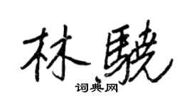 王正良林驍行書個性簽名怎么寫
