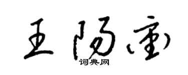 梁錦英王陽沖草書個性簽名怎么寫