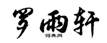 胡問遂羅雨軒行書個性簽名怎么寫