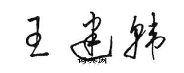 駱恆光王建韓草書個性簽名怎么寫