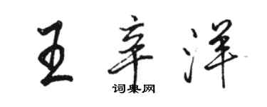 駱恆光王辛洋行書個性簽名怎么寫