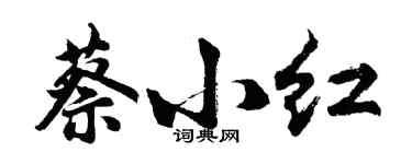 胡問遂蔡小紅行書個性簽名怎么寫