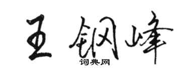 駱恆光王鋼峰行書個性簽名怎么寫