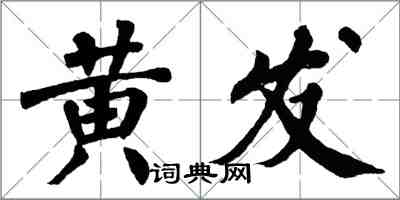 翁闓運黃髮楷書怎么寫