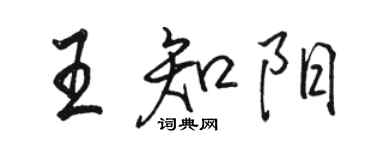 駱恆光王知陽行書個性簽名怎么寫